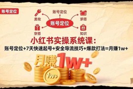 （16554期）小红书实操系统课：账号定位 7天快速起号 安全导流技巧 爆款打法=月赚1w 