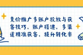（13979期）竞价推广多账户投放与获客技巧，账户搭建，多渠道精准获客，提升转化率