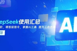 （14216期）DeepSeek使用汇总，基础到进阶，提示词技巧，掌握AI工具 提升工作效率