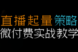 半野老师·直播带货起量与微付费必学课视频号