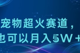 小众宠物超火赛道，小白也可以月入1w 