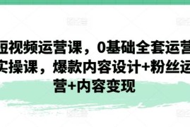 短视频运营课，0基础全套运营实操课，爆款内容设计 粉丝运营 内容变现