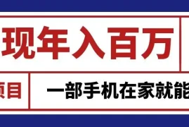 通过网创平台“卖项目”实现年入百万，一部手机在家就能做！