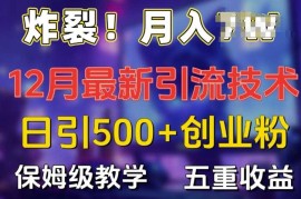 炸裂!揭秘12月最新日引流500 精准创业粉，多重收益保姆级教学