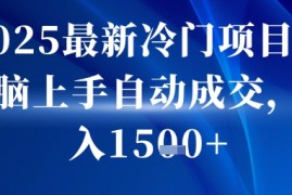 2025最新冷门项目，无脑上手自动成交，日入多张