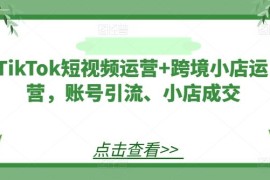 TikTok短视频运营 跨境小店运营，账号引流、小店成交