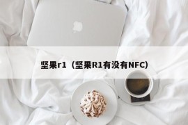 坚果r1（坚果R1有没有NFC）
