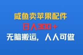 咸鱼卖苹果配件，日入3张 ，无脑搬运，人人可做