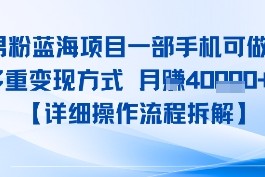 8月新男粉蓝海项目一部手机可做，多重变现方式 月入4W 【详细操作流程拆解】