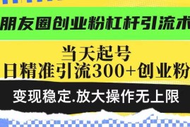（14200期）朋友圈创业粉杠杆引流术，投产高轻松日引300 创业粉，变现稳定.放大操…