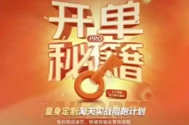 天下网商·淘宝天猫陪跑计划(更新10月)