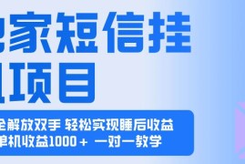 （16393期）2025全新电脑挂机项目 操作简单，单机当天收益1000 ，收益无上限，可…