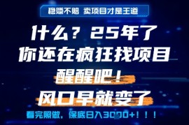 什么？25年你还在疯狂找项目做，醒醒吧，看完这些你全都懂了！【揭秘】