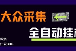 大众采集全自动玩法，新手小白轻松一天5张 ，操作简单零成本【揭秘】