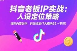 （15497期）抖音老板IP实战：人设定位策略，爆款内容创作，抖加投放(7大模块62 节课)