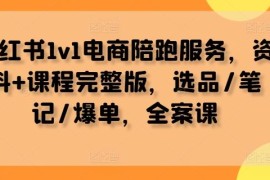 小红书1v1电商陪跑服务，资料 课程完整版，选品/笔记/爆单，全案课