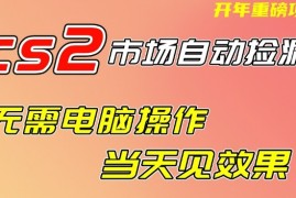 CS2市场自动捡漏项目，无需电脑操作，无需进入游戏，当天见效果，支持任何形式验证【揭秘】