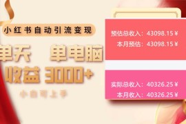 （13999期）小红书自动引流变现 单天单电脑收益3000  小白可上手