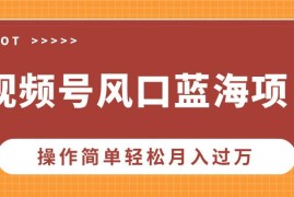 （13945期）视频号风口蓝海项目，中老年人的流量密码，操作简单轻松月入过万