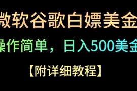 微软谷歌项目3.0，轻松日赚500 美金，操作简单，小白也可轻松入手！