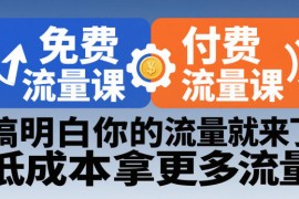 拼多多免费流量课 付费流量课，搞明白你的流量就来了，低成本拿更多流量