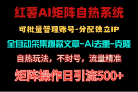 （10828期）红薯矩阵自热系统，独家不死号引流玩法！矩阵操作日引流500 
