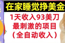 在家挣美金，1天收入93刀，最刺激的项目，0门槛，自动收入(首次公开)