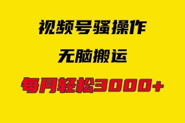 （9968期）4月最新视频号无脑爆款玩法，挂机纯搬运，每天轻松3000 