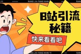 B站最新截流玩法靠此方法可日引流200 