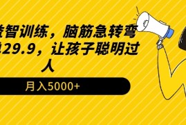 儿童益智训练，脑筋急转弯，一单29.9，让孩子聪明过人