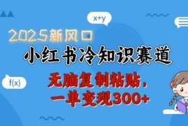 2025新风口，小红书冷知识赛道，无脑复制粘贴，一单变现300 