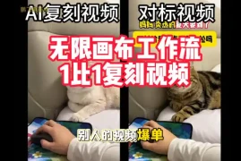 宠物带货视频复刻，无限画布工作流1比1，不用拍摄、不用布景、不用真人出镜，几分钟就能做出一条专业带货视频