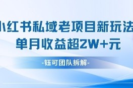 小红书私域项目新玩法，单月变现过W 