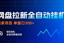 网盘全自动拉新掘金，独家技术，操作简单，单窗口轻松日入3张  可矩阵【揭秘】