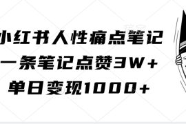 小红书人性痛点笔记，一条笔记点赞3W ，单日变现1000 
