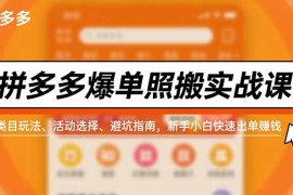 拼多多爆单照搬实战课，类目玩法、活动选择、避坑指南，新手小白快速出单赚钱