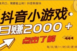 （16221期）抖音小游戏，一部手机日入300 ，2025风口项目