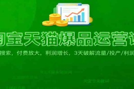 淘宝天猫爆品运营课：免费搜索，付费放大，利润增长，3 天破解流量/ 投产/利润痛点