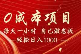 全网首发全新项目，每天被动收益1000 ，长期管道收益！
