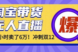 年前风口！淘宝带货，无人直播160小时卖了6万！