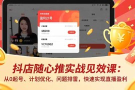 抖店随心推实战见效课：从0起号、计划优化、问题排雷，快速实现直播盈利