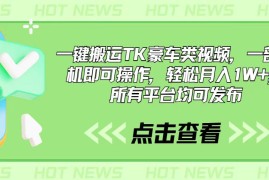（10975期）一键搬运TK豪车类视频，一部手机即可操作，轻松月入1W ，所有平台均可发布