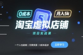 淘宝虚拟店铺项目实战课，一个人也能做，无需货源、0成本起步，月入5k
