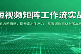 短视频矩阵工作流实战：快速培养网感，提升素材生产力，掌握爆款素材与脚本要点
