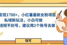 单日变现多张，小红薯最新女粉项目私域新玩法，小白可做，不违规不封号，建议用2个账号去做