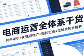 电商运营全体系干货，竞争定价 关键词推广 爆款打造 全域战略全拆解
