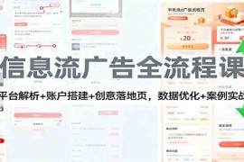 信息流广告全流程课：平台解析 账户搭建 创意落地页，数据优化   案例实战