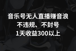 音乐号无人直播赚音浪，不违规、不封号，1天收益300 