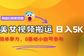（12177期）【新思路】视频搬运 网盘拉新，靠搬运每日5000 简单暴力，0基础小白可参与