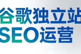 谷歌独立站SEO运营(更新2026)